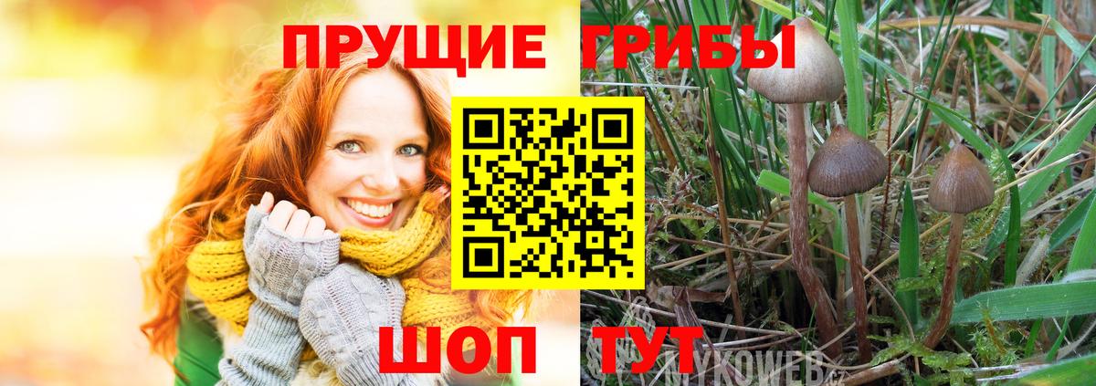 Галлюциногенные грибы GOLDEN TEACHER  Псилоцибиновые грибы мухоморы  Вход с VPN  купить  сайты  Егорьевск 